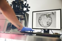 fertility_lab_iStock-2177969613
