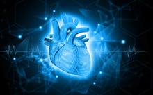 heart_cardiac_iStock-2224590068