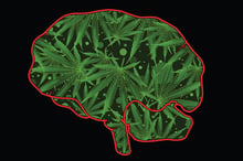 marijuana_brain_iStock-2168414934