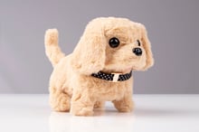 robot_pet_iStock-1487556453